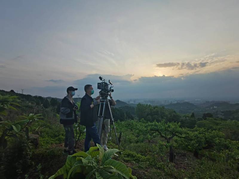 创意破圈！淮安区电商产品宣传视频用故事化叙事引爆流量