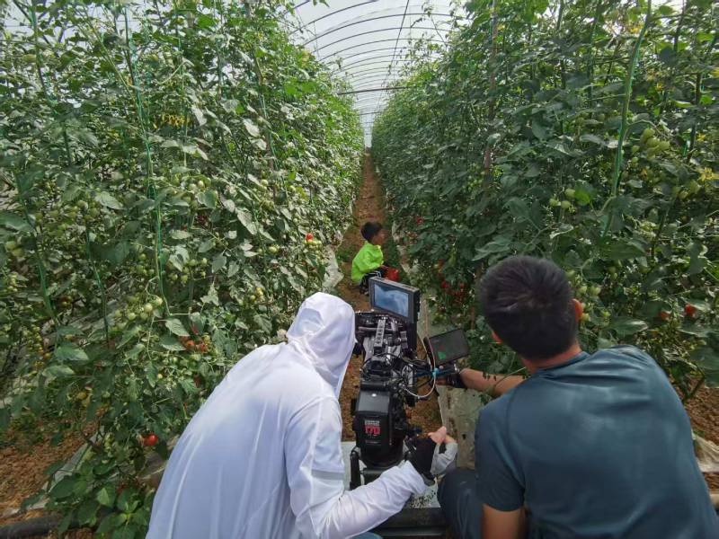 淮安区产品宣传视频拍摄公司进阶指南，助力品牌抢占传播高地